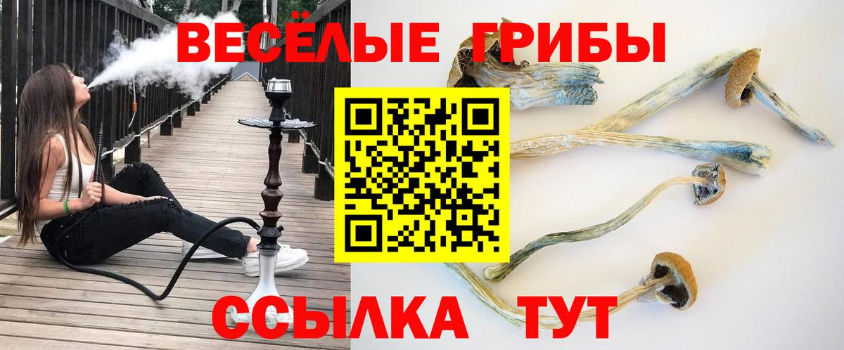 Псилоцибиновые грибы Cubensis  Вход с VPN  Алатырь 