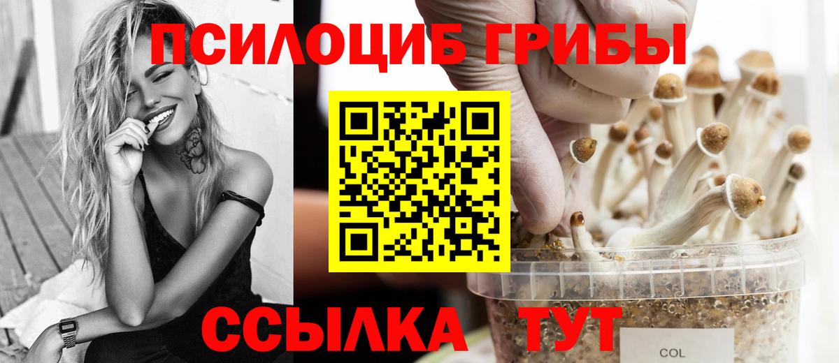 Псилоцибиновые грибы прущие грибы Алатырь